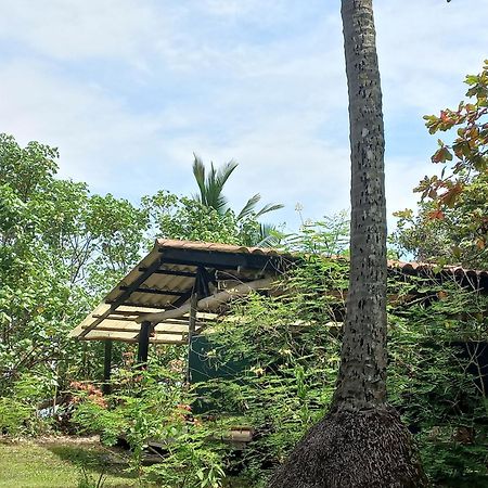 Las Lajas Beach Resort Exterior foto