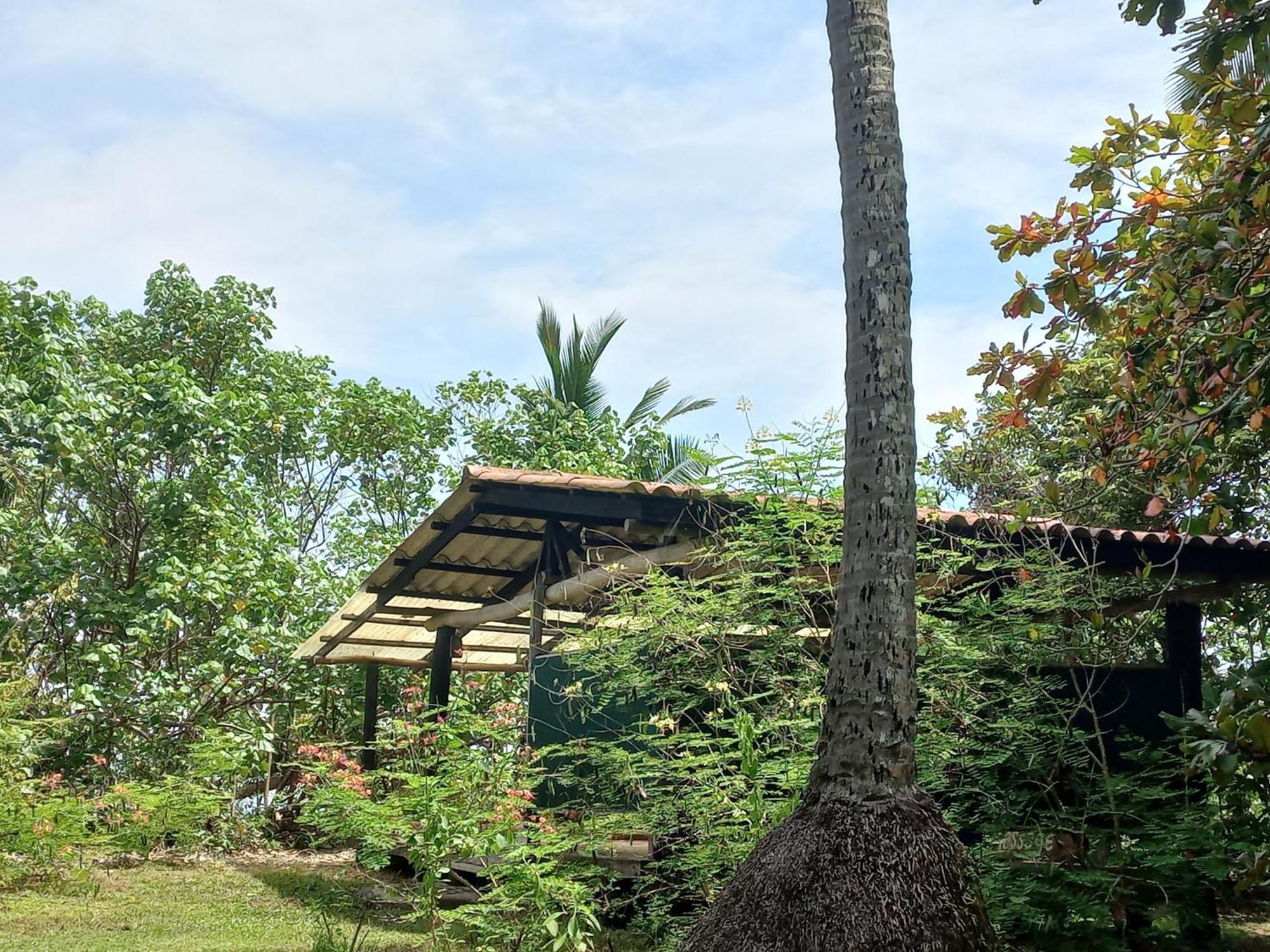 Las Lajas Beach Resort Exterior foto